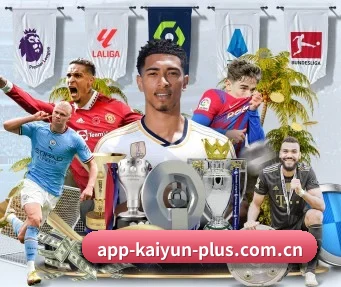 开云体育网页版登入 APP | kaiyun